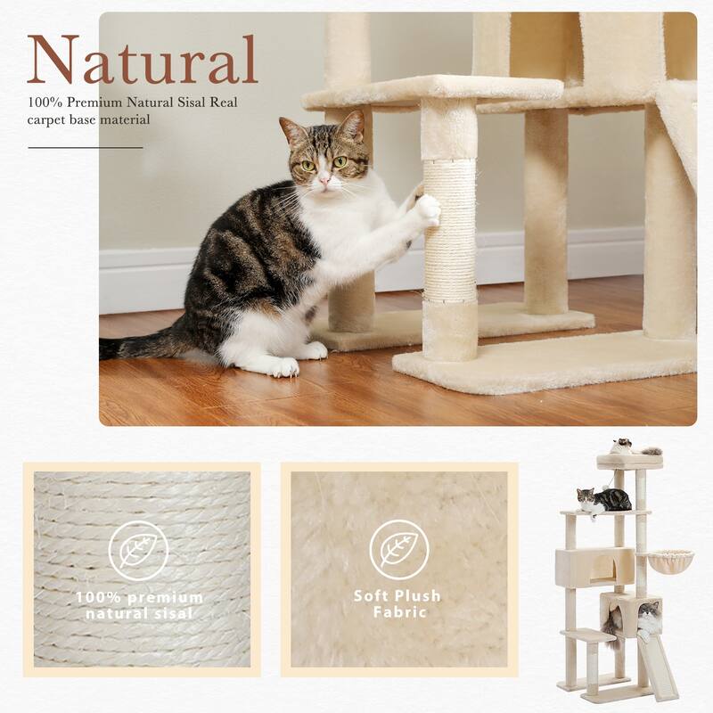 61" Indoor Large Cat Tree Cat Tower with Ladder and Dual Condos