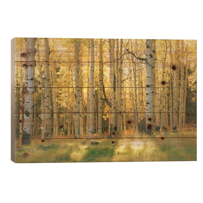Aspen Trees In A Forest, Coconino National Forest, Arizona, USA Print On Wood by Panoramic Images - Multi-Color - 18x26x1.5