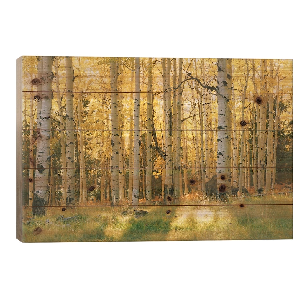 Aspen Trees In A Forest, Coconino National Forest, Arizona, USA Print On Wood by Panoramic Images - Multi-Color