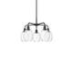 Option Oil Rubbed Bronze / Clear