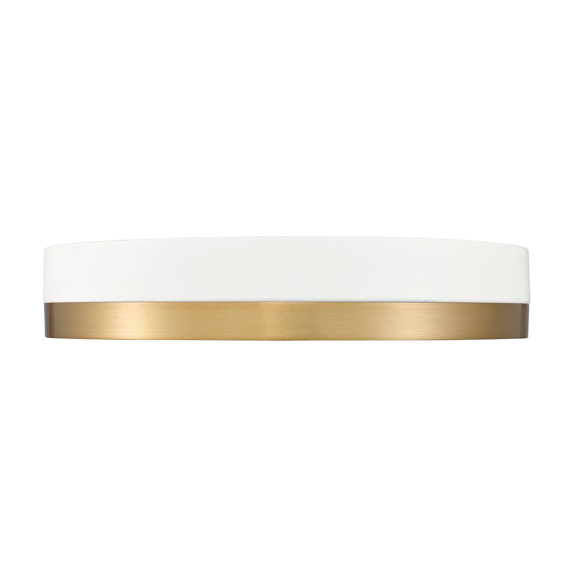 Z-Lite 1006F16-LED Algar 16