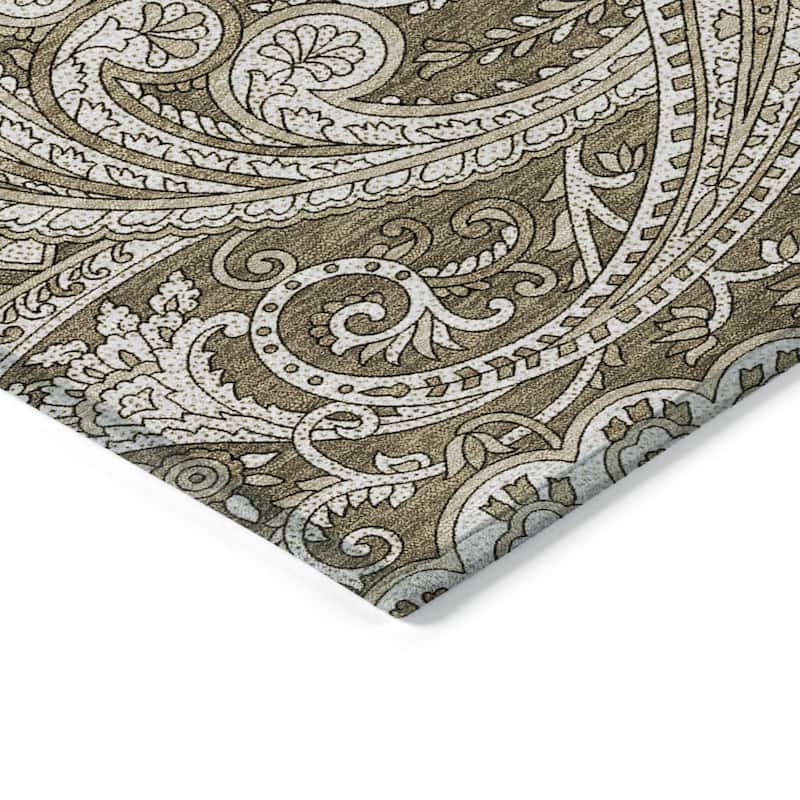 HomeRoots Paisley Transitional Rectangle Outdoor Rug
