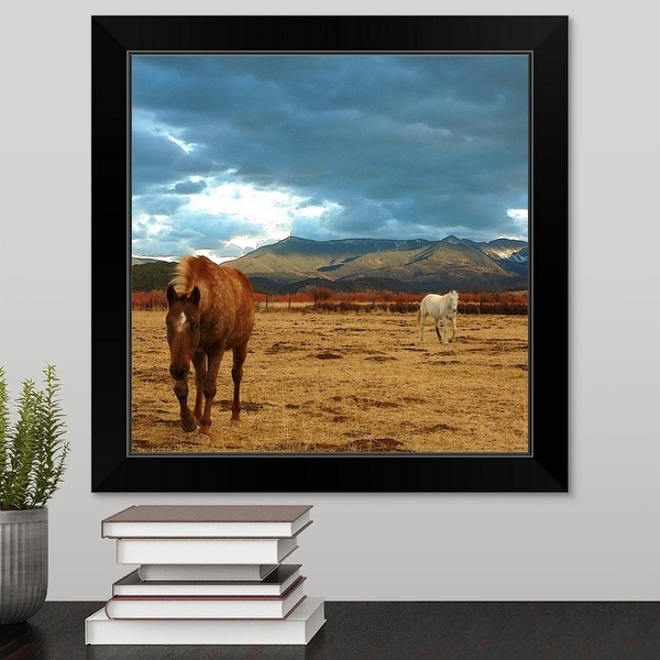 "Brown horse and white horse in dry winter meadow in Truchas, New Mexico." Black Framed Print