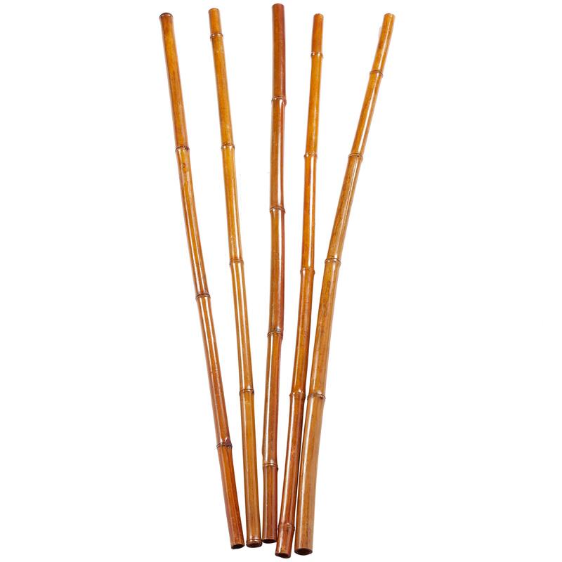 Dried Hogla Babala Bamboo Natural Foliage Collection - Multiple Colors