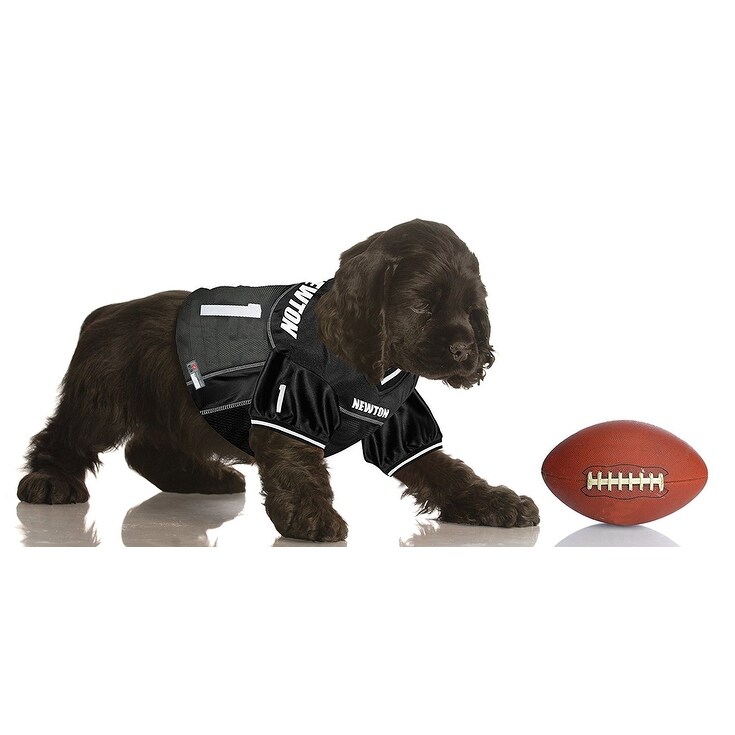Cam newton pet jersey Clearance