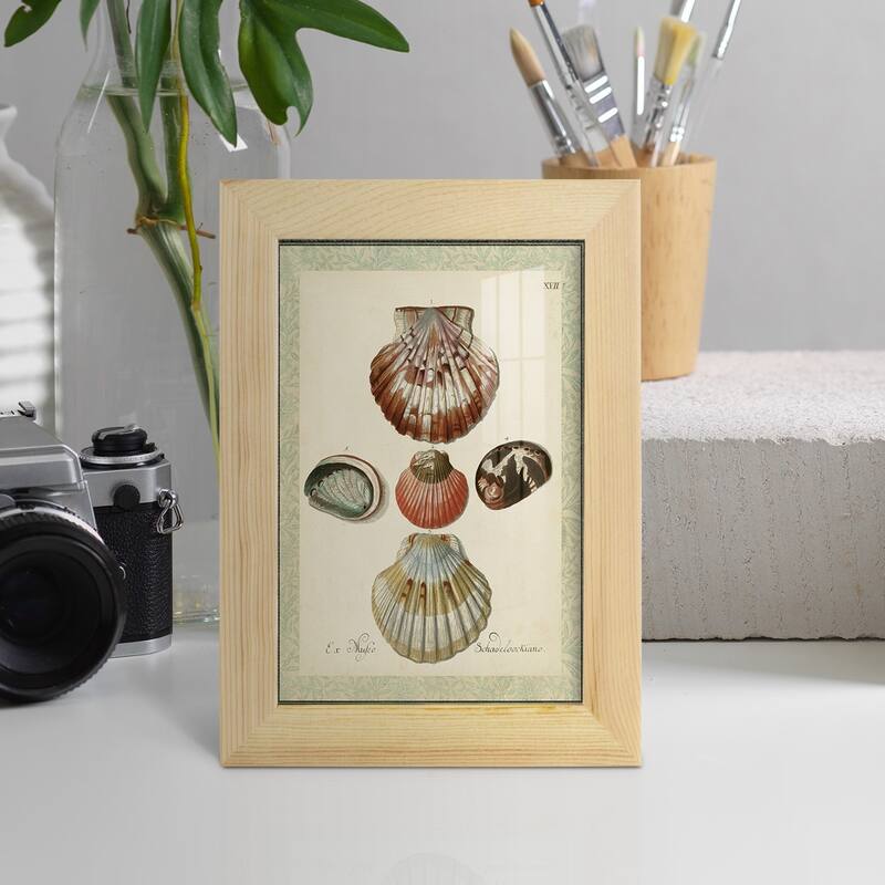 Bookplate Shells III -Framed Print w/glass-Cherry Red