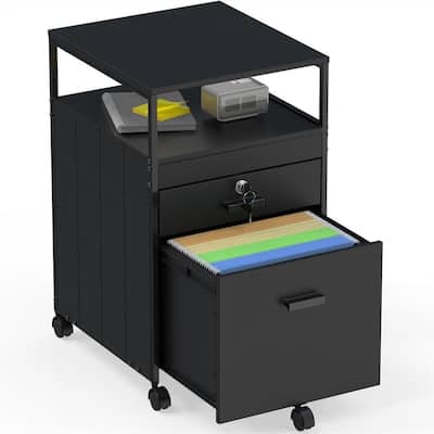 Rolling File Cabinet w/ 2 Drawers