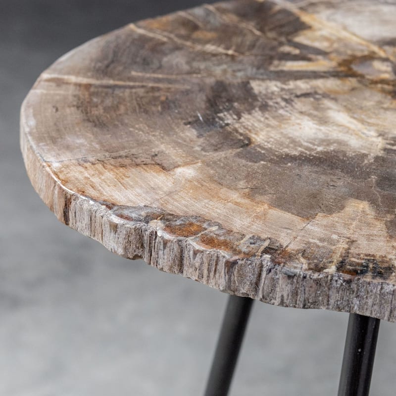 Uttermost Mircea 16" Wide Cross Section Petrified Wood Accent Table by