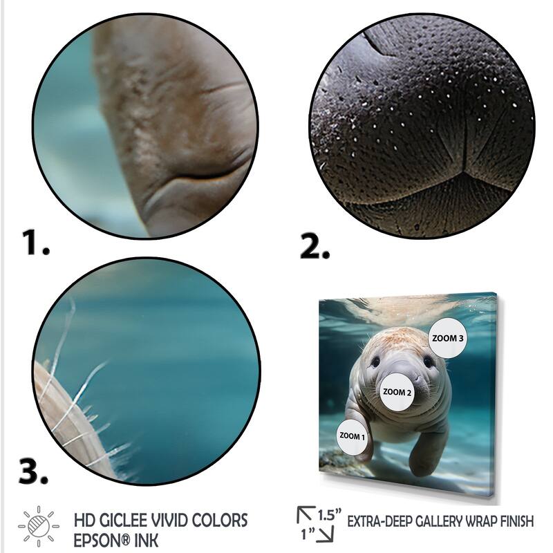 Designart "Curious Manatee Gaze III" Manatee Wall Decor Blue Modern Entryway Framed Wall Art