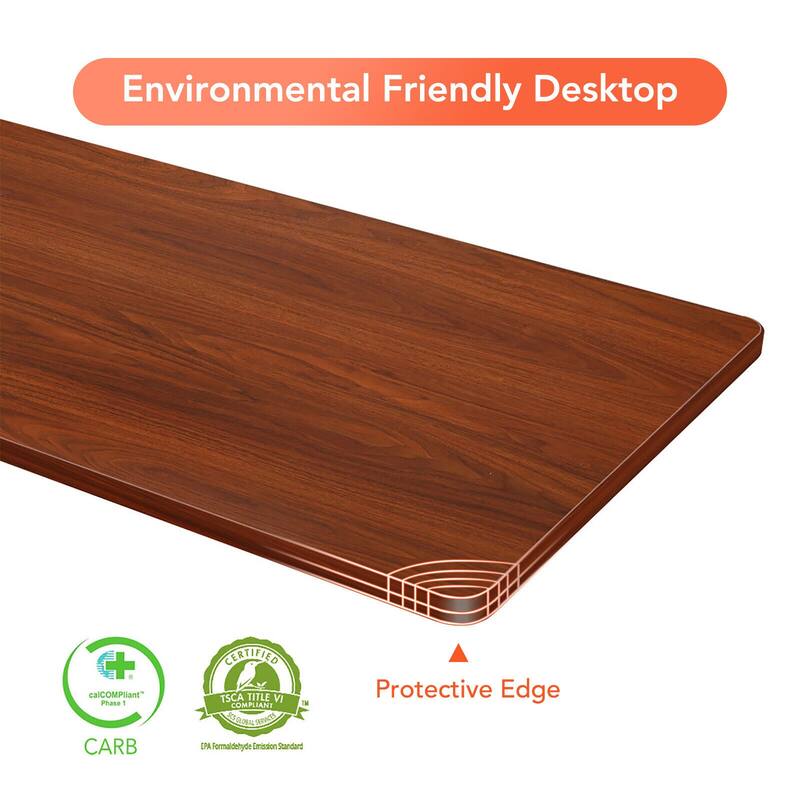 FLEXISPOT 55 x 28 Home Office Standing Desk Electric Height Adjustable Desk with LED Memory Control