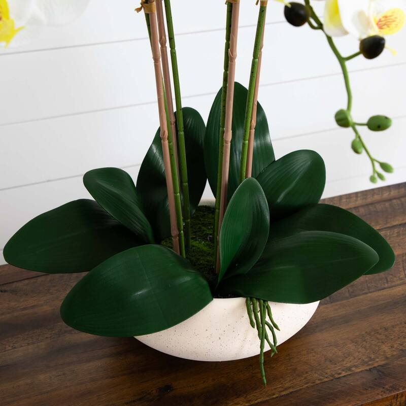 Phalaenopsis Orchid Artificial Floral Arrangement with Ceramic Planter - 23" - White