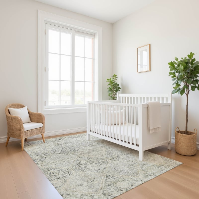 Premium Washable Super Soft Vintage Traditional Mayfield Rug