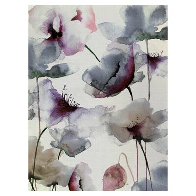 Transparencies Canvas Art Print