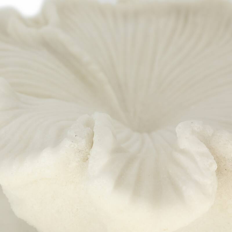 Decorative Coastal Inspired Shell Bowl - 12", White - 17.0"