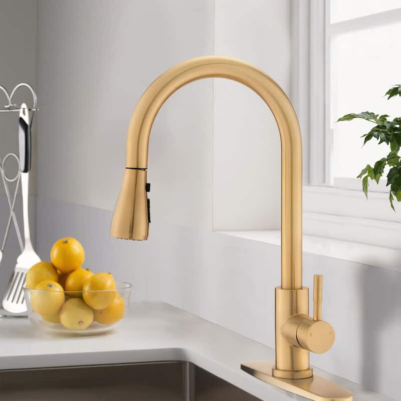 DORNBERG SUS 304 Stainless Steel Kitchen Faucet with Pull Down Sprayer