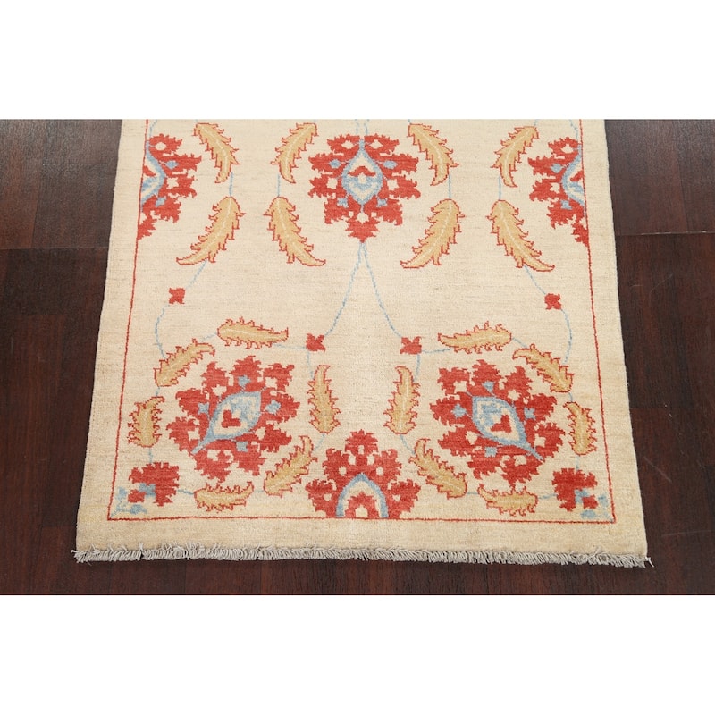 Vegetable Dye Floral Ziegler Area Rug Wool Hand-knotted Foyer Carpet - 3'2" x 4'4"