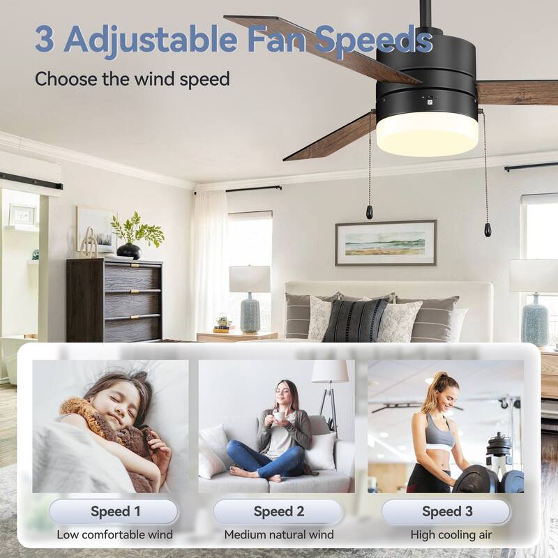 52" Traditonal Ceiling Fan with Light and Pull Chain (3 Reversible Blades)