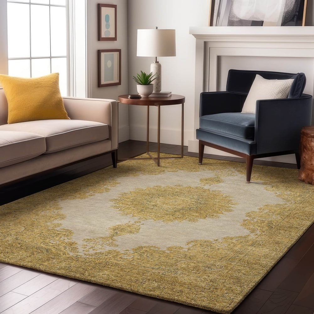 Premium Washable Super Soft Vintage Traditional Mayfield Rug