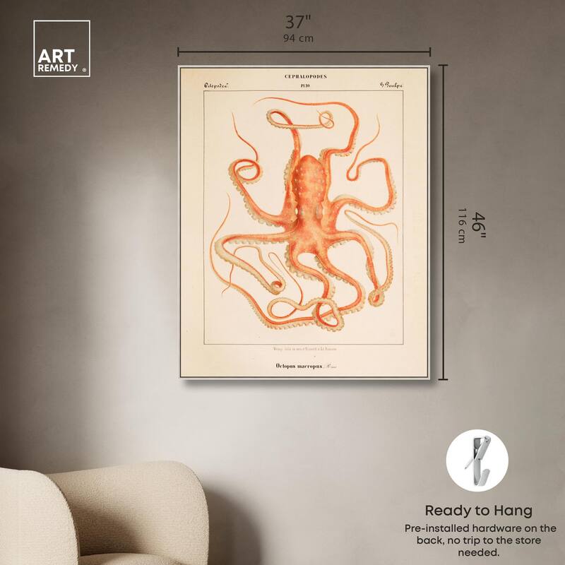 Verany The Octopus 1815 I Canvas by Art Remedy