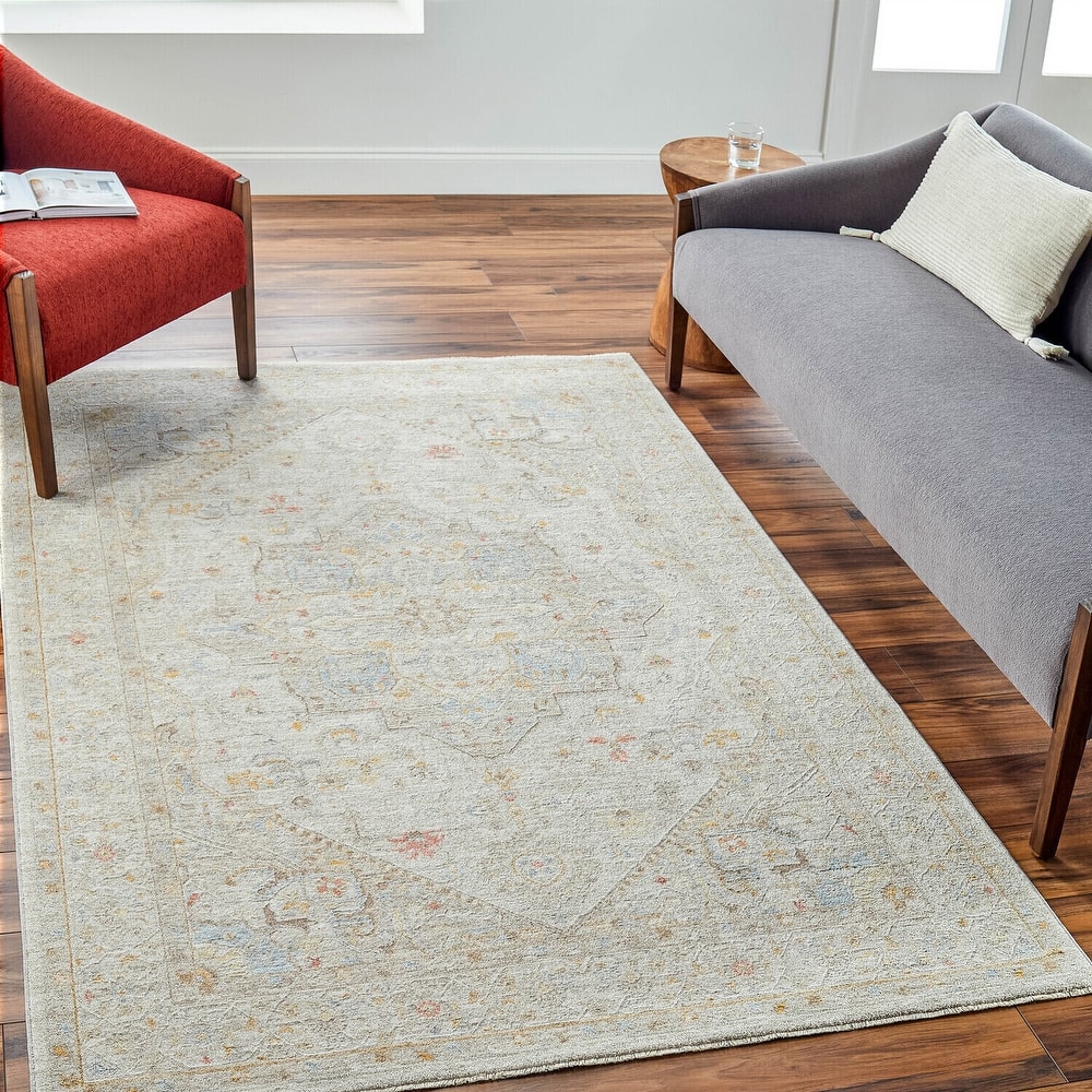 Livabliss Traditional Avant Garde Medallion Area Rug