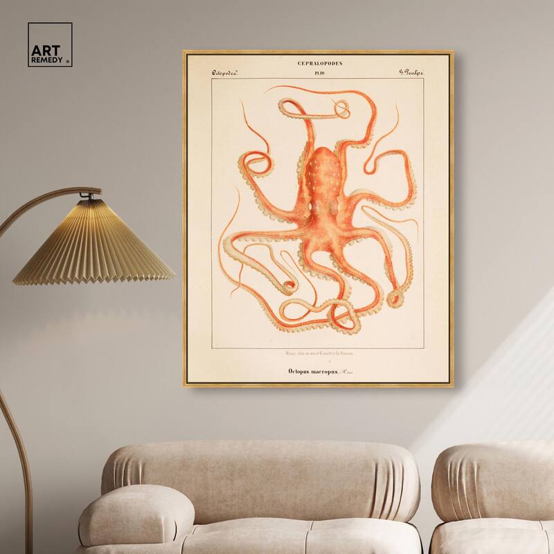 Verany The Octopus 1815 I Canvas by Art Remedy