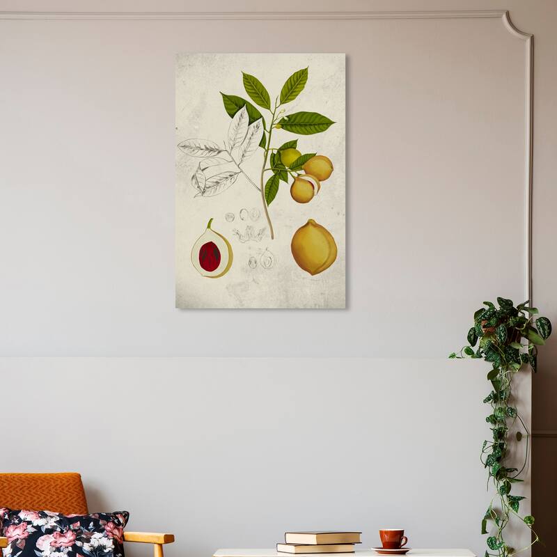 Wynwood Studio Canvas Food and Cuisine Peach Plant Tree Green and Traditional Wall Art Canvas Print - 30 x 20