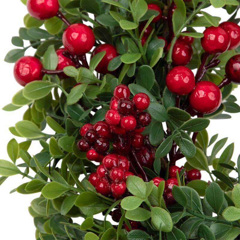 Red Berry and Boxwood Artificial Christmas Wreath - 20" - Unlit