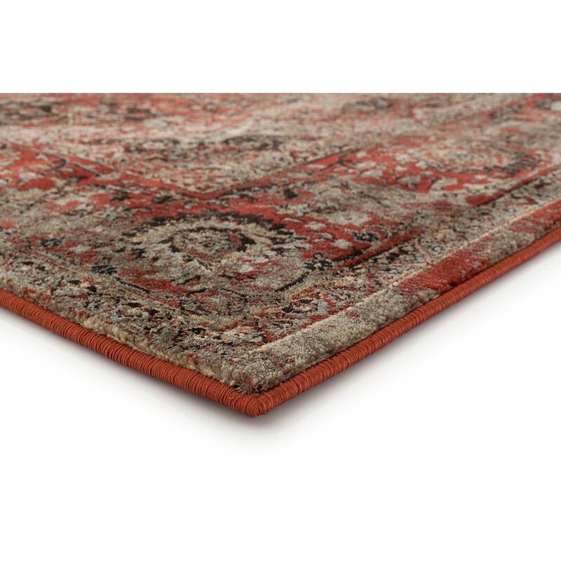 Antique Collection Traditional Area Rug