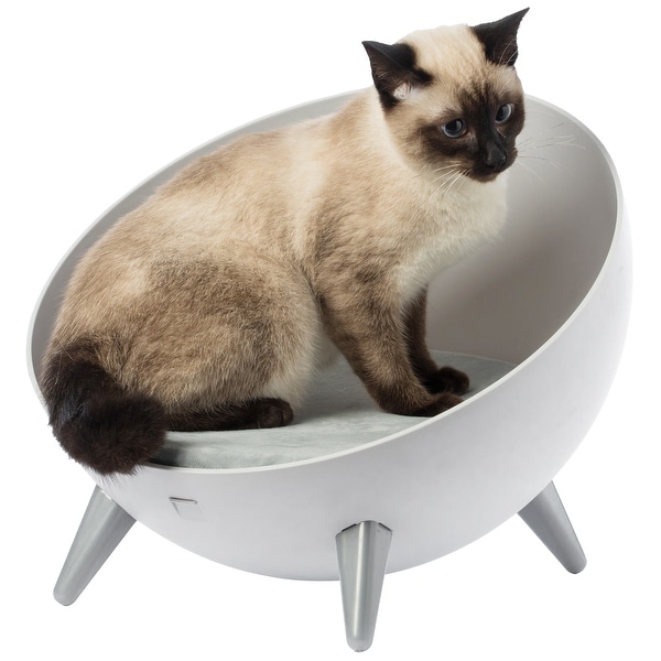 Bowl best sale shaped chair