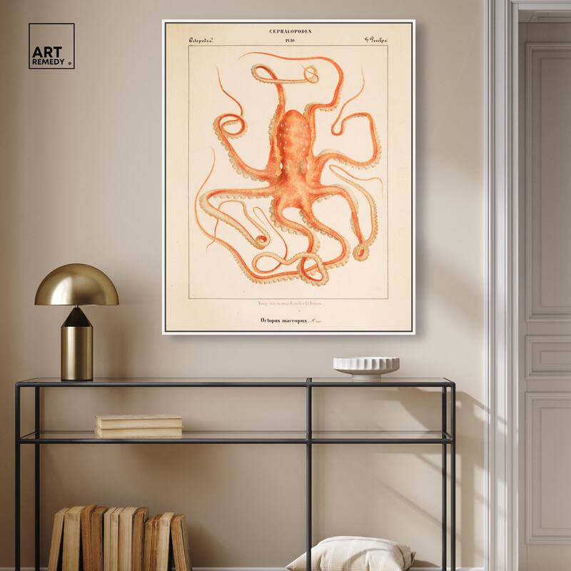 Verany The Octopus 1815 I Canvas by Art Remedy