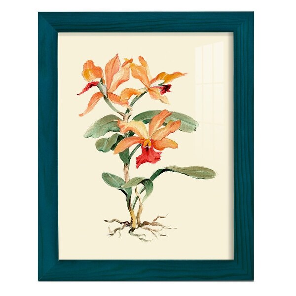 Orange-Orchid--Framed-Print-w-