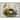 Randall Fruit with Parrot 1777 Canvas by Art Remedy