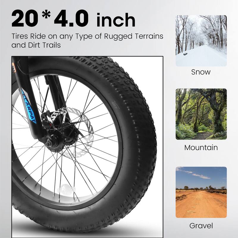 Adult/Youth Fat Tire Bike - Shimano Gears, Dual Disc Brakes, Front Suspension, Steel Frame, Commuter/Trail Use - 20