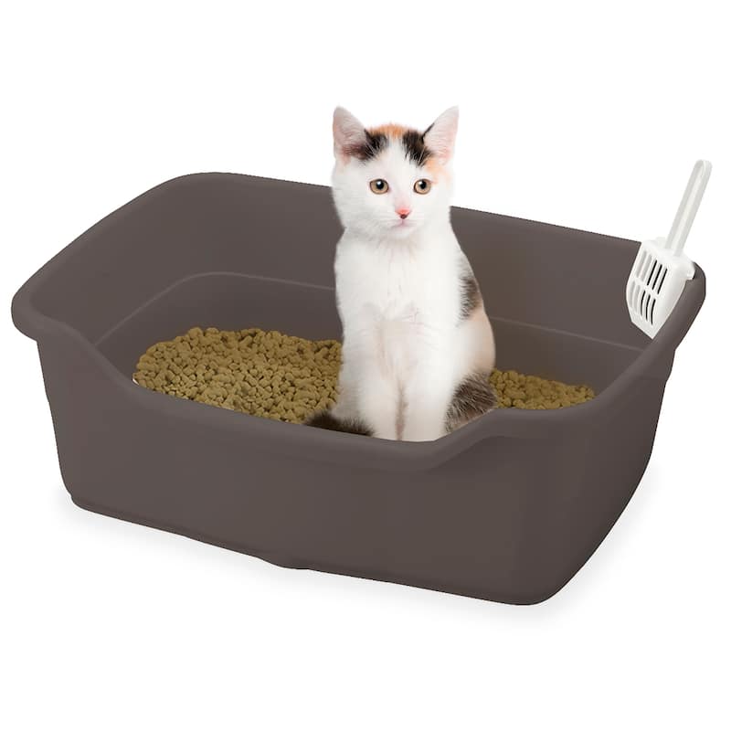 Richelle PAW TRAX Wide Cat Litter Pan in Brown