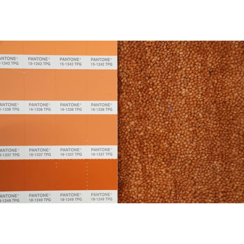 Hand Knotted Oriental 100% Wool Carpet Tribal Animal Pictorial Oranges & Rust Gabbeh Area Rug - 7' 11'' X 7' 10''