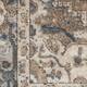 Nourison Concerto Traditional Persian Medallion Area Rug