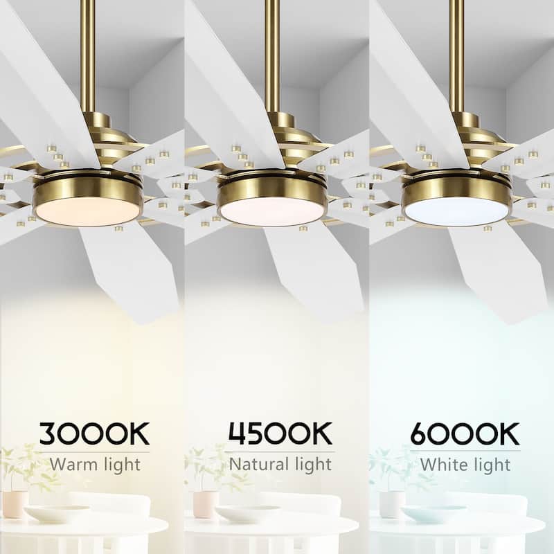MLiAN 60/72 inch 8 Blades Indoor LED Ceiling Fan with Remote control