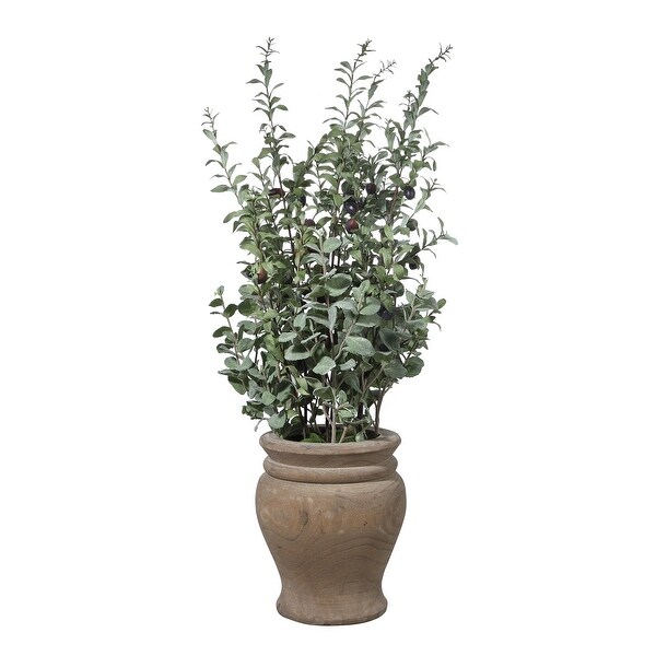 Uttermost Tassos Potted Olive. Opens flyout.