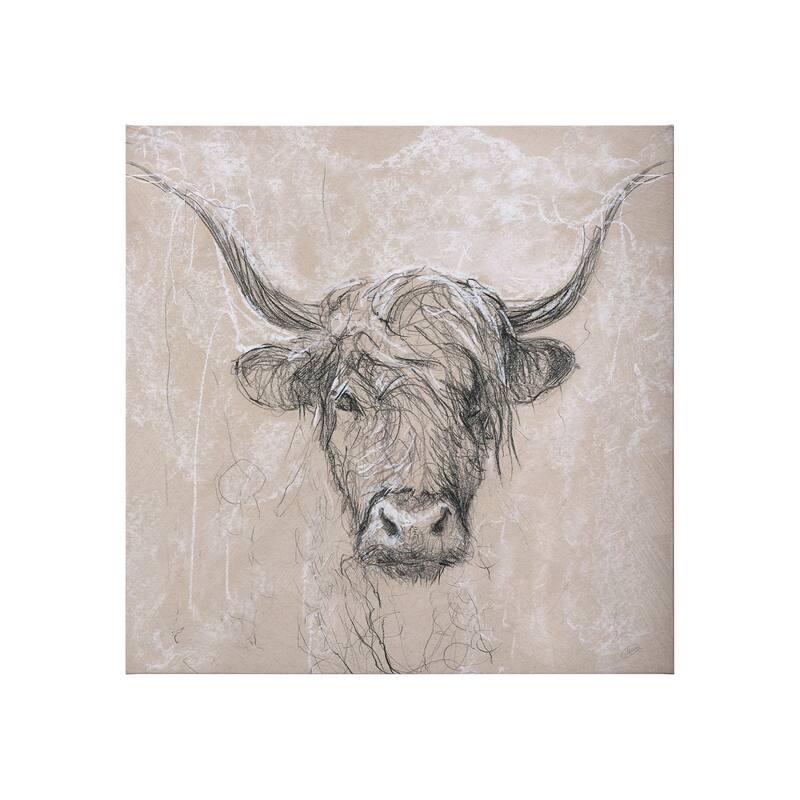 Sketch of Animal VIII (Highland Bull) (30 x 30) Canvas Art Print - Small