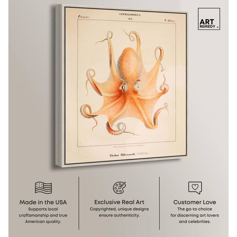 Verany The Octopus 1815 II Canvas by Art Remedy