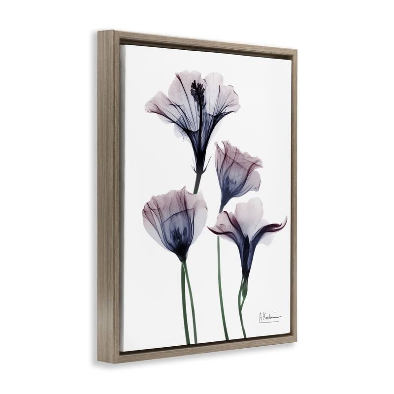 Stupell Bountiful Dusk Flowers Framed Floater Canvas Wall Art Design By Albert Koetsier