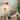 Modern Mid-Century Art Flower Bud Wall Sconces Sleek Plug in Wall Light Fixtures