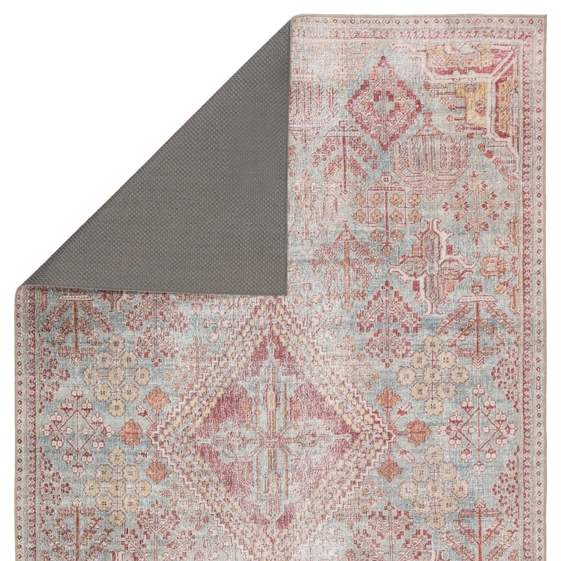 Gracewood Hollow Cugoano Machine Washable Indoor/Outdoor Sky Blue/Pink Medallion Area Rug