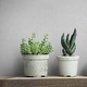 preview thumbnail 5 of 4, Galerie Wallcoverings Bricks and More Collection Subtle Woven Texture Matte Finish Vinyl on Non-woven Wallpaper Roll