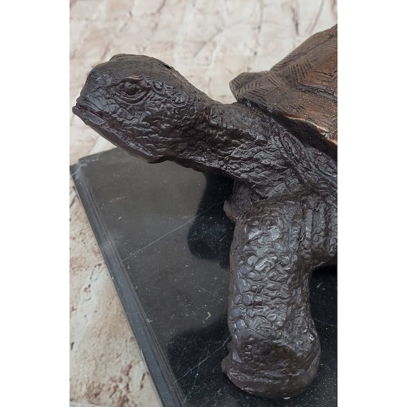 Limited Edition Bronze Tortoise Turtle Life Size Sculpture Statue Figure
