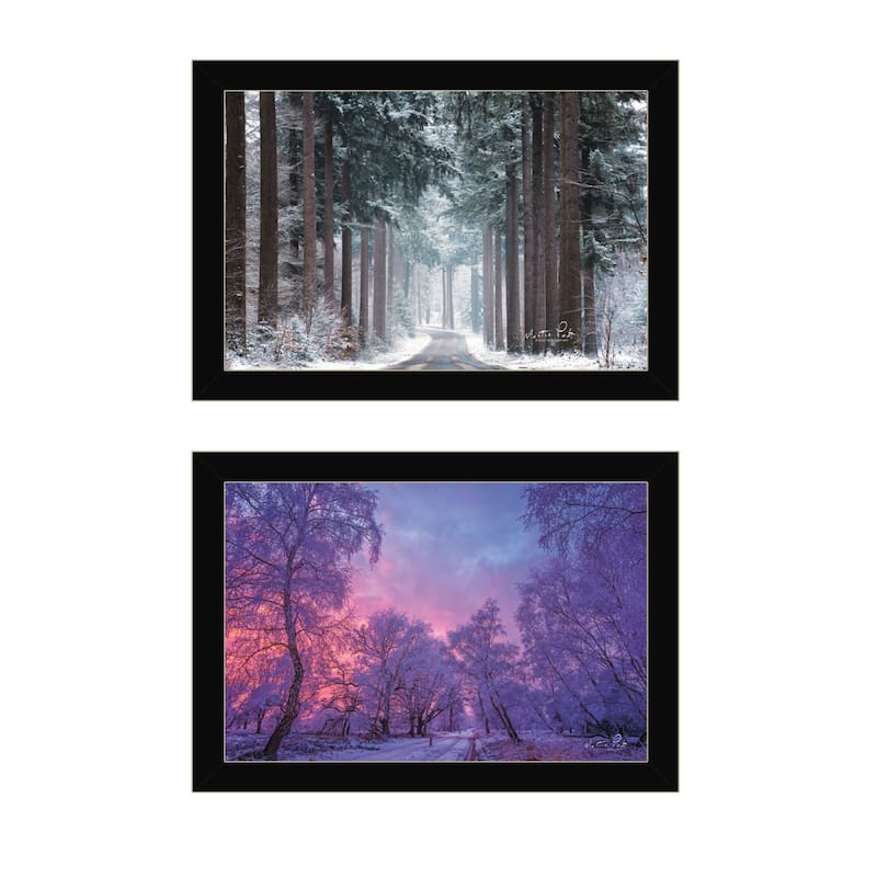 Trendy Decor 4U "Winter Wonderland" Printed Framed Wall Art by Martin Podt - Black - 20 x 14