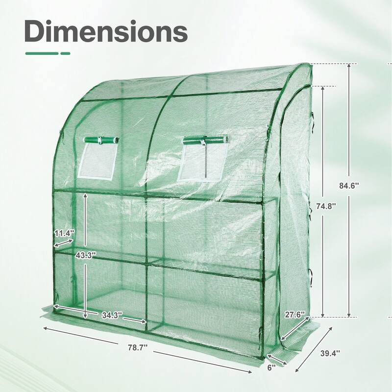Aoodor 7x3x7 FT Portable Walk-in Greenhouse with Shelves, Steel Frame with PE Cover, Anchor and Ropes