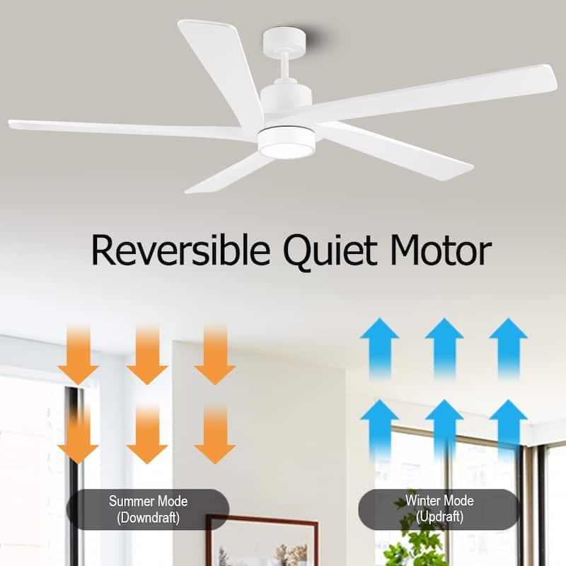 WINGBO 64 Inch DC Ceiling Fan with Lights and Remote Control, 5 Reversible Carved Wood Blades - N/A