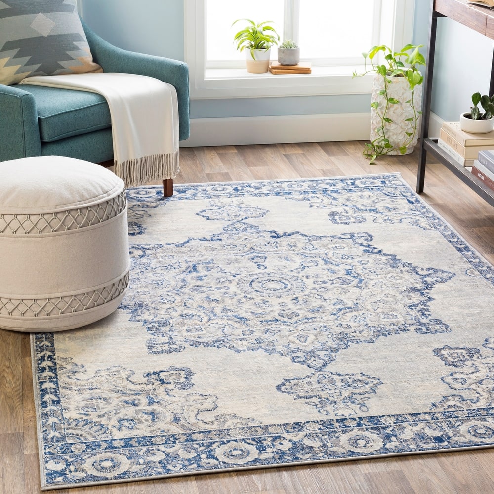 Livabliss Muradbegovic Persian Medallion Area Rug