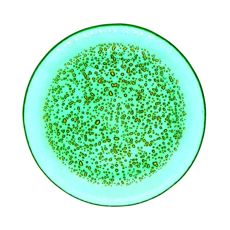 ISLA Canape Plates Set of 4 - 7" - Emerald/Gold